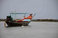 IMG_2529