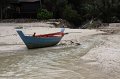 IMG_2534