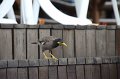 IMG_2572