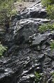 IMG_2717