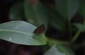 IMG_2729