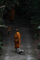 IMG_2786