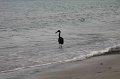 IMG_2821