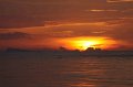 IMG_2907