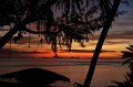 IMG_2983
