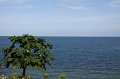 IMG_2990