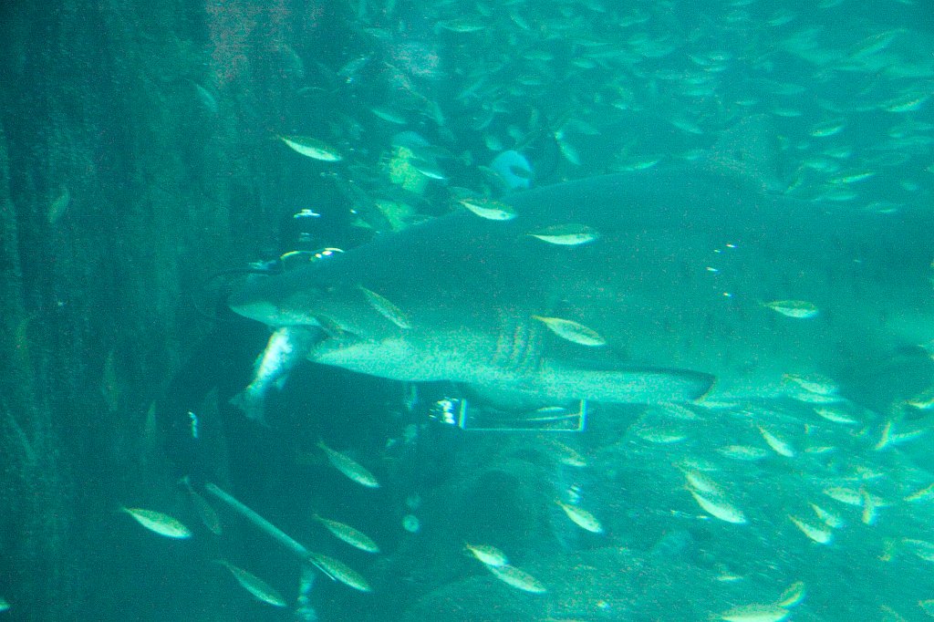 IMG_7206.jpg