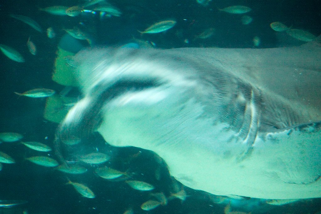 IMG_7208.jpg