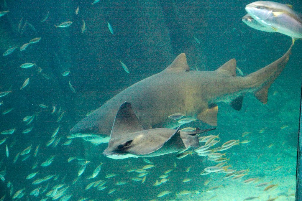 IMG_7222.jpg