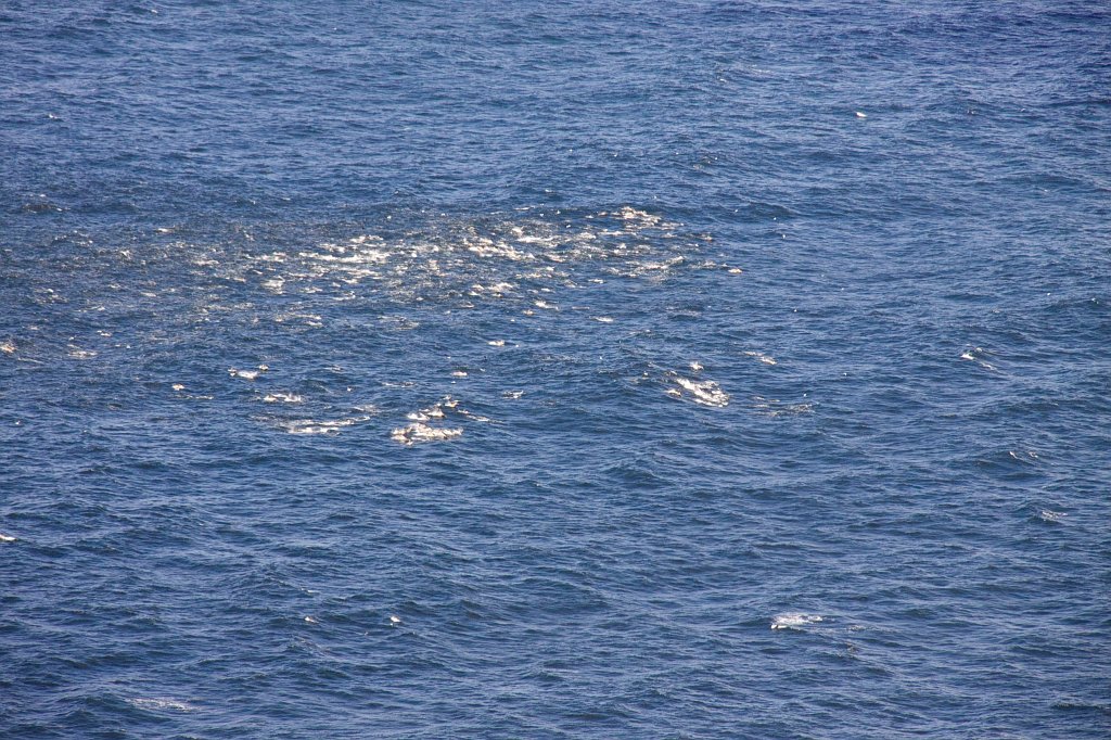 IMG_7452.jpg