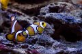 IMG_7250