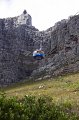 IMG_7335