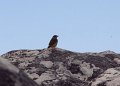 IMG_7355
