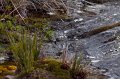 IMG_7359