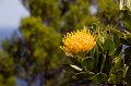 IMG_7420