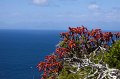 IMG_7432