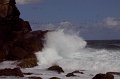 IMG_7457
