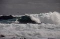IMG_7469