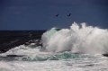 IMG_7480