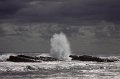 IMG_7490