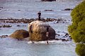 IMG_7546