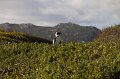 IMG_7561