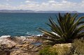 IMG_7632
