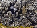 IMG_7648