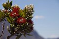 IMG_7676