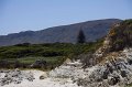 IMG_7691