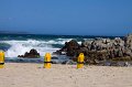 IMG_7695