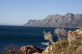 IMG_7730
