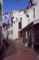 IMG_7775