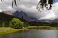 IMG_7817