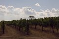 IMG_7820