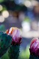 IMG_7837