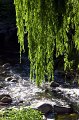 IMG_7846