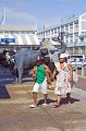 IMG_7892