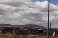 IMG_7992