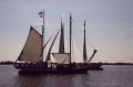 IMG_4928