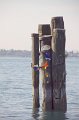 IMG_6566