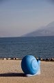 IMG_6577