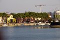 IMG_6593