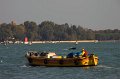 IMG_6784