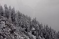 IMG_6827
