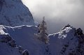 IMG_6886