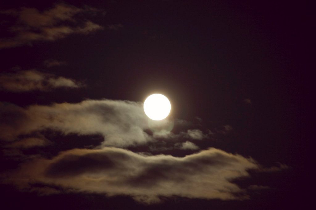 IMG_4055.jpg - Vollmond