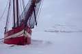 IMG_4105