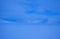 IMG_4152