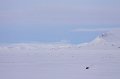 IMG_4261
